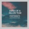 Ashes of a Fallen Year - Scott Buckley lyrics