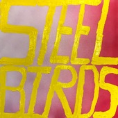 Steel Birds artwork