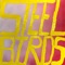 Steel Birds artwork