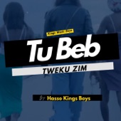 Twubabe Twekuzim artwork