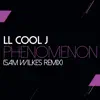 Phenomenon (Sam Wilkes Remix) - Single album lyrics, reviews, download