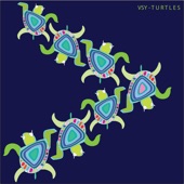 Turtles artwork