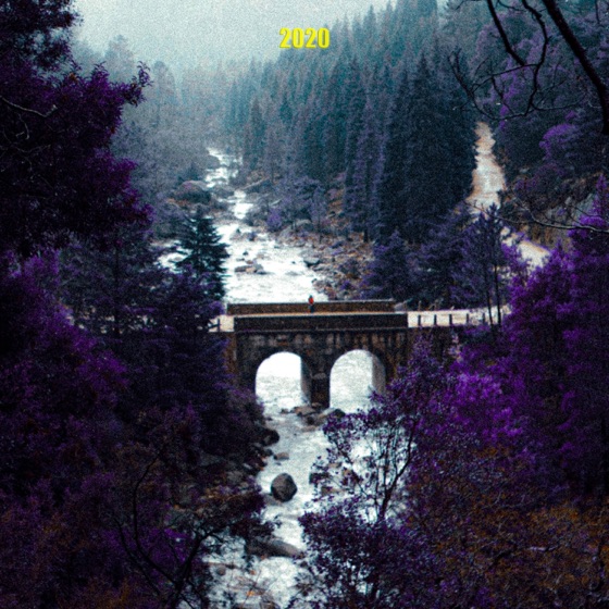 Cover artwork for 2020 (feat. Slow J)