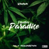 Planters Paradise - Single