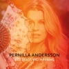 Pernilla Andersson - Koltrast vid Haväng