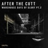 Warehouse Days of Glory, Pt.2 - Single