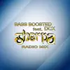 Sherpa (feat. DCX) [Radio Mix] - Single album lyrics, reviews, download