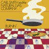 Carl Smith And The Natural Gas Company - Livin' a Dream