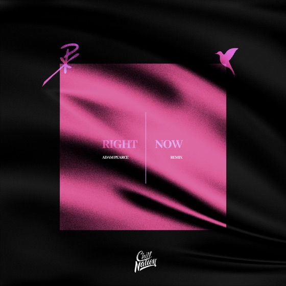 Cover artwork for Right Now (Adam Pearce Remix)