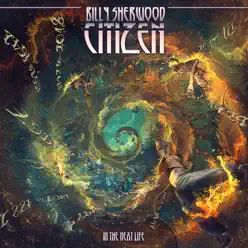 Citizen: In the Next Life - Billy Sherwood Citizen: In the Next Life - Billy Sherwood