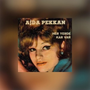 Her Yerde Kar Var - Single