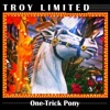 Troy Limited - Legacy