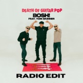 Bosh! (Radio Edit) [feat. Tom Skinner] artwork