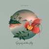 Gazing at the Sky - Single