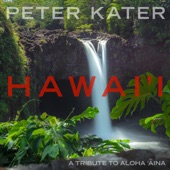 Hawai'i: A Tribute to Aloha Aina artwork