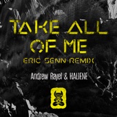Take All of Me (Eric Senn Remix) artwork