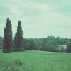 Season of the Forest - I Like You