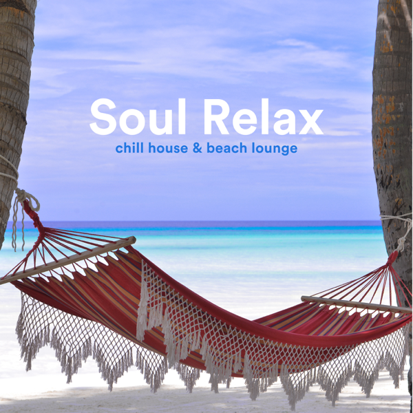 soulful beach house shamanstems free download