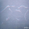 Sinea - EP