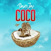 Coco artwork