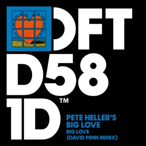 Big Love (David Penn Remix) - Single