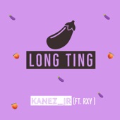 Long Ting (feat. Rxy) artwork