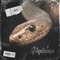 No Zz - Lakes lyrics