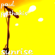 Sunrise - Paul Pathakis