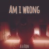 Am I Wrong - Single