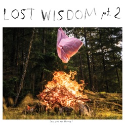 LOST WISDOM - PT 2 cover art