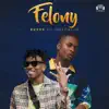 Felony (feat. Mayorkun) - Single album lyrics, reviews, download