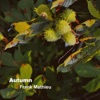 Autumn - Single