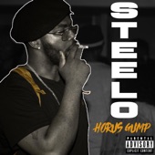 Steelo artwork