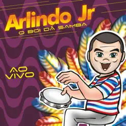 O Boi Dá Samba (Ao Vivo) - Arlindo Junior