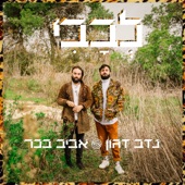 לבבי artwork