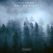 Out of Sight (Extended Mix) artwork