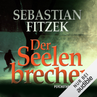 Sebastian Fitzek - Der Seelenbrecher artwork