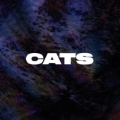 Cats (feat. Lucia Cadotsch) artwork