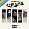 Never Again album lyrics, reviews, download