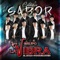 La Cumbia del Sabor - Grupo La Vibra lyrics