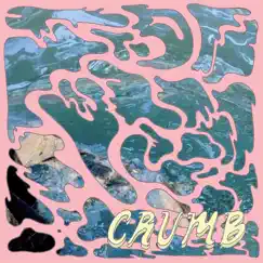Crumb - Single by Crumb album reviews, ratings, credits