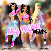 My Type (feat. City Girls & Jhené Aiko) [Remix] artwork