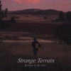 Strange Terrain - Single