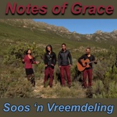 Soos 'n Vreemdeling artwork