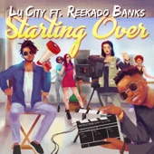 Starting Over (feat. Reekado Banks) artwork