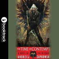 Andrzej Sapkowski - The Time of Contempt artwork