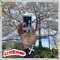Dysfunctional / Irrational - Lyfe Kodomo lyrics