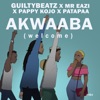Akwaaba - Single