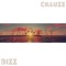 Far Away (feat. Yung Chauze) - Djbizzel lyrics