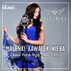 Maleńki Kawałek Nieba (Patryk Pegza (After Party) Remix) - Single album lyrics, reviews, download